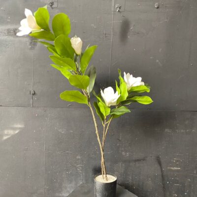 White magnolia artificial flower with pot [rental]