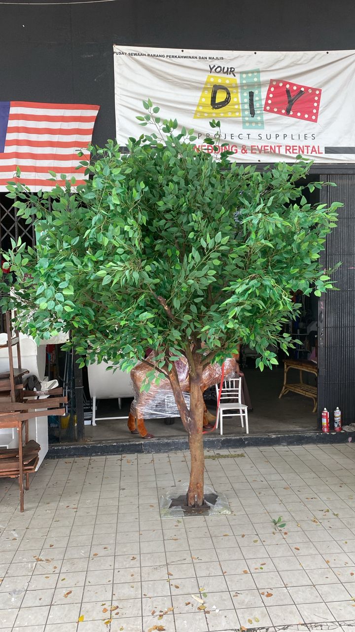 Banyan tree / Pokok hijau besar Banyan 260cm rental - Image 3