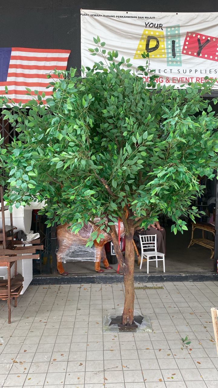 Banyan tree / Pokok hijau besar Banyan 260cm rental