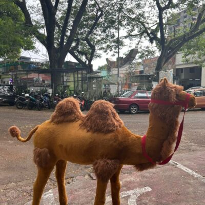 STANDING CAMEL XL [rental]