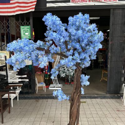 Blue cherry blossom tree-1pcs [rental]