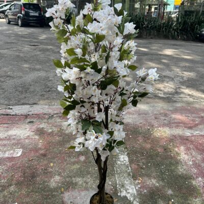Pokok bunga kertas palsu / artificial Bougainvillea- rental