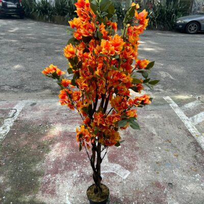 Pokok bunga kertas palsu / artificial Bougainvillea- rental